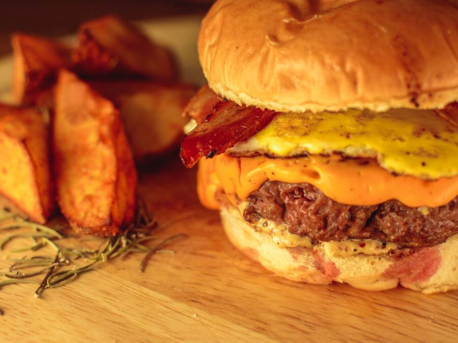 Burger Fastech 360
